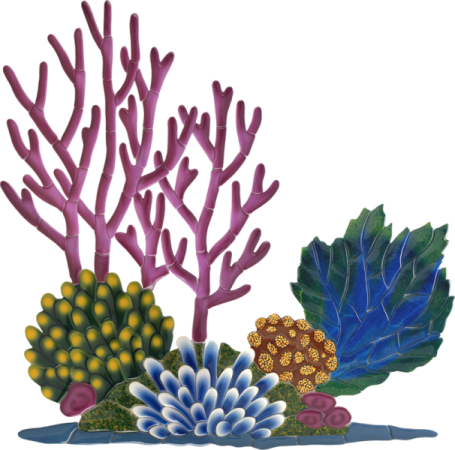 a group of colorful corals and plants