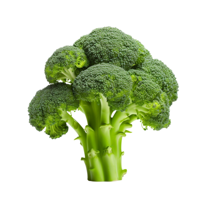a close up of a piece of broccote