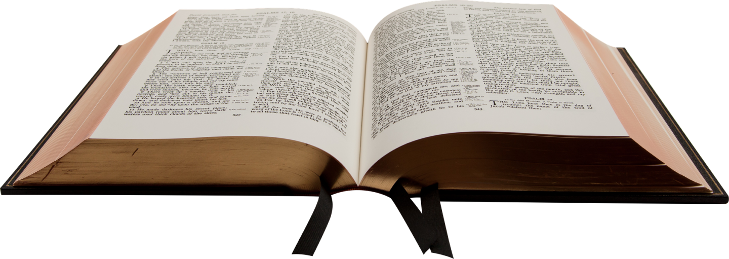 an open bible on a white background