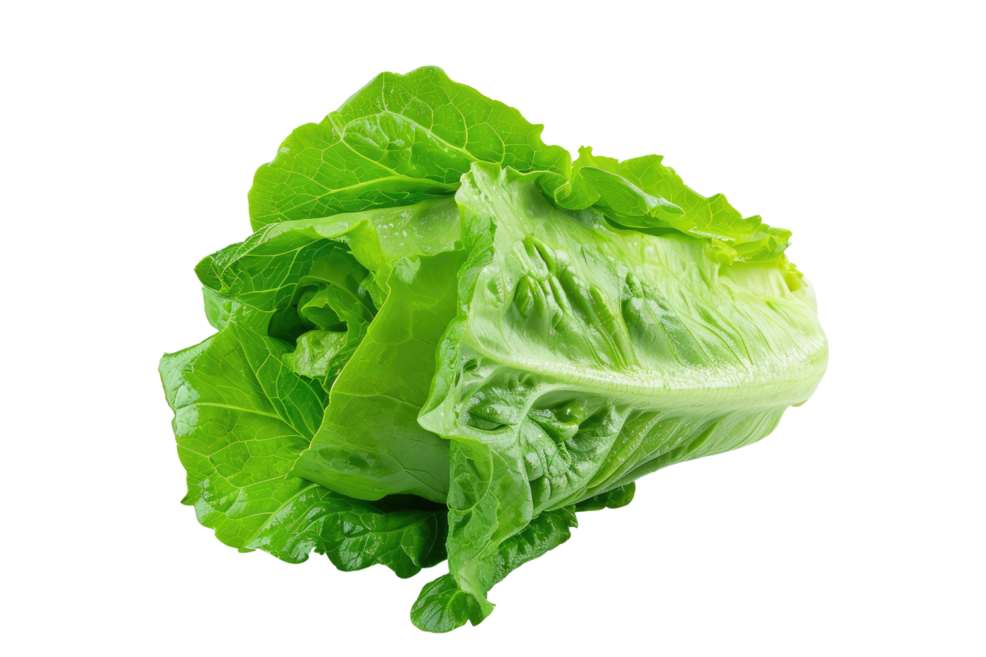 a head of lete on a white background