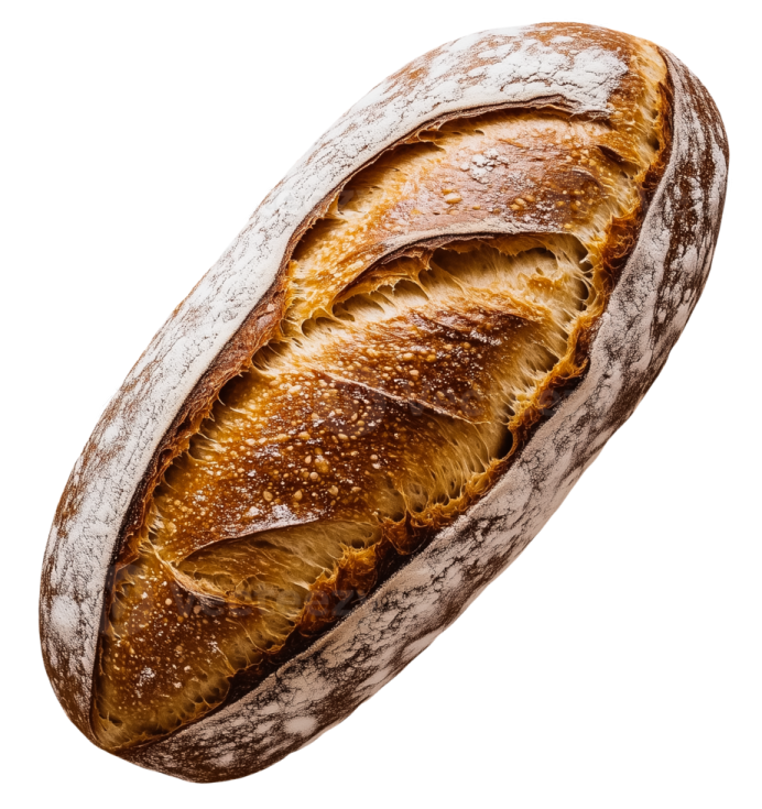 a loaf of bread on a white background
