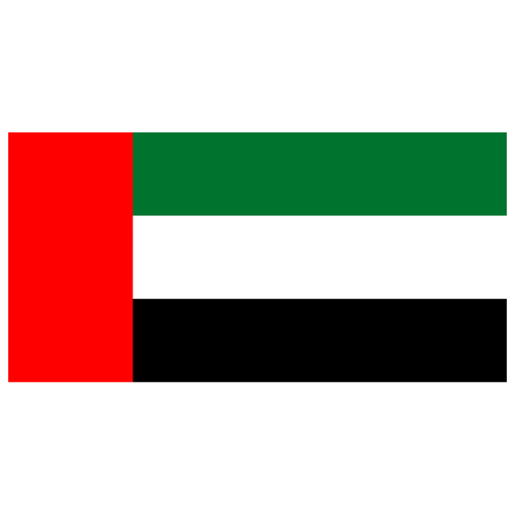 the uae flag