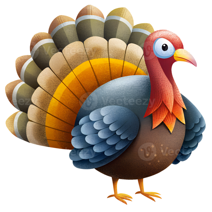 a turkey is standing on its hinds