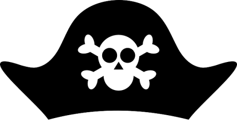 a pirate hat with a skull on it