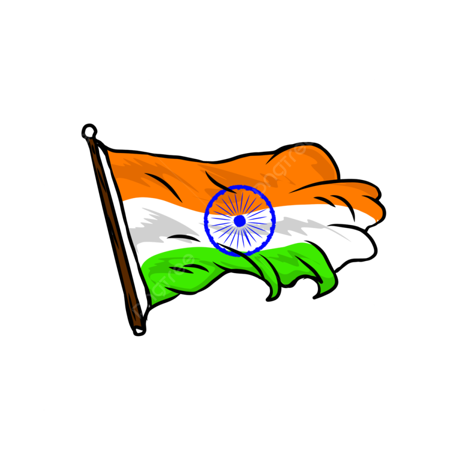 the indian flag