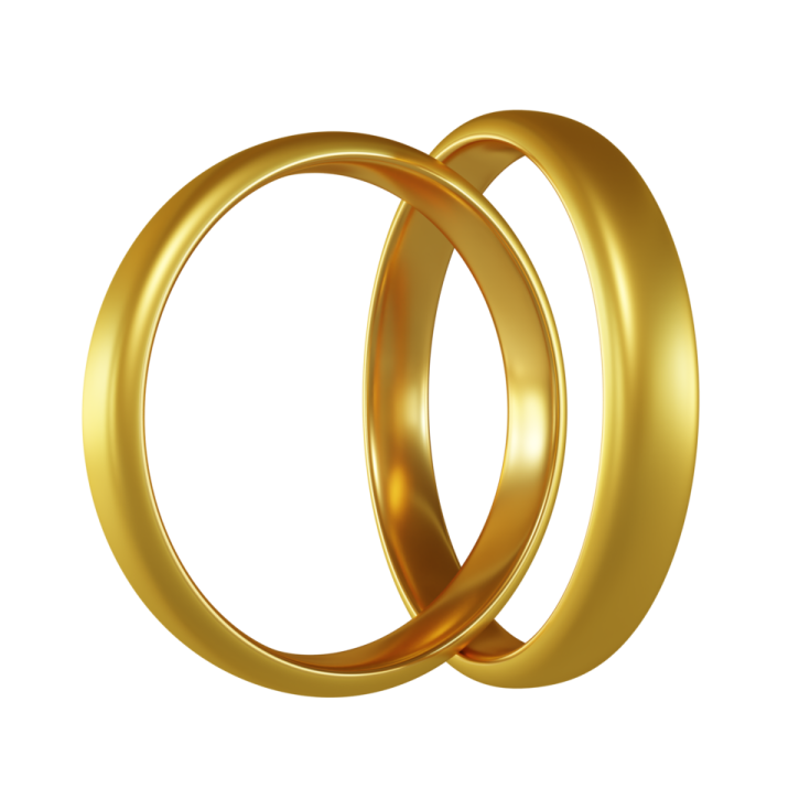 a pair of gold wedding rings