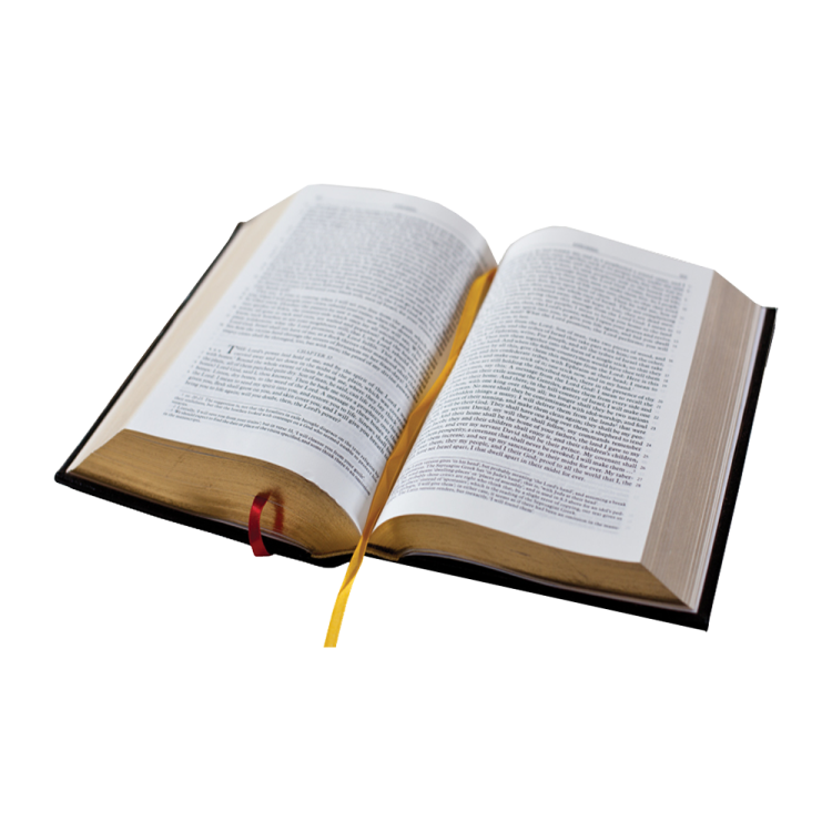 an open bible on a white background
