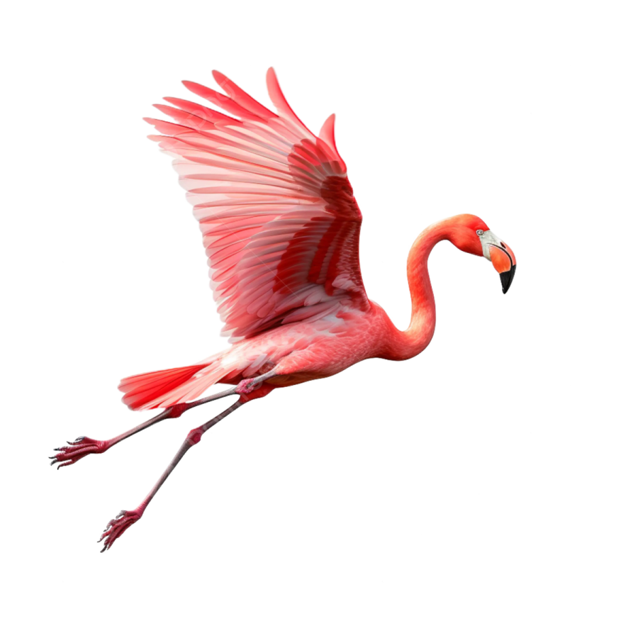 a pink flaming is flying in the air