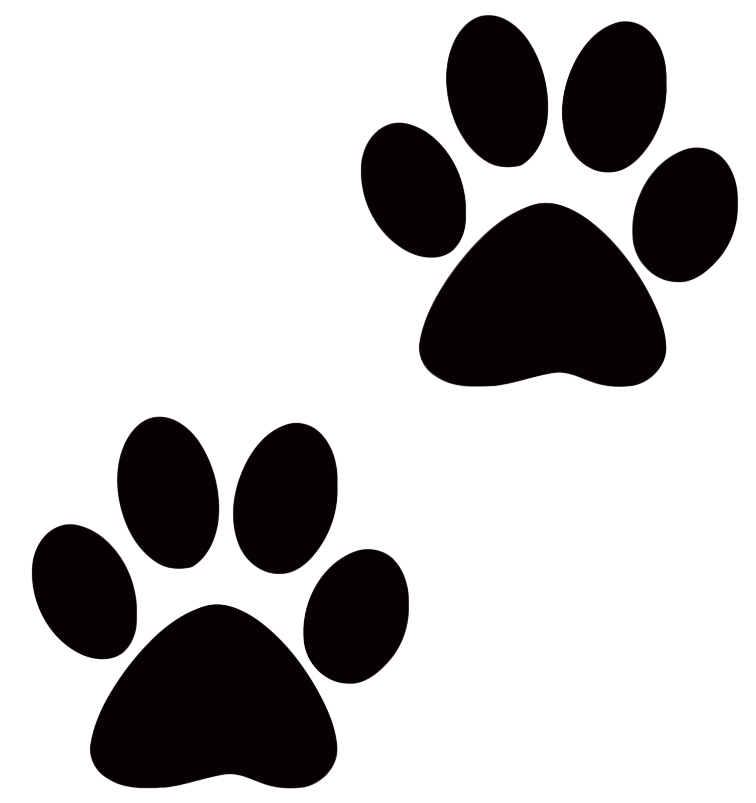 a black and white image of two paws