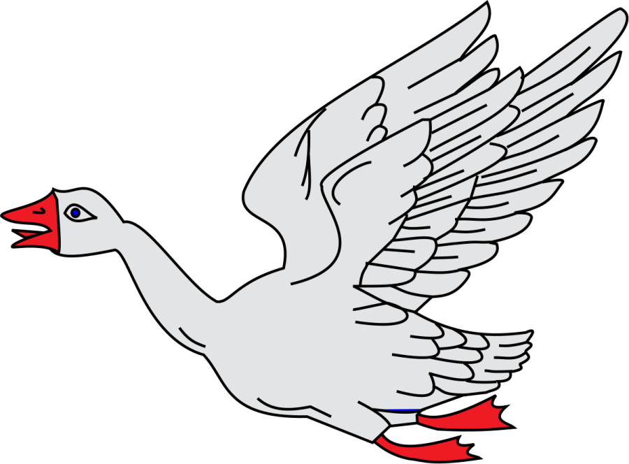 a white goose flying with its wings spread