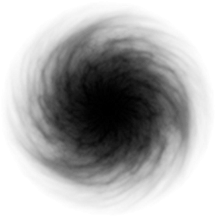 a black and white image of a circular object