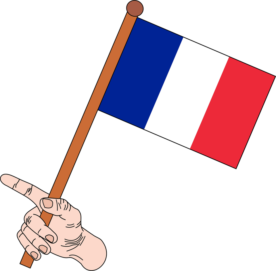 a hand holding a french flag