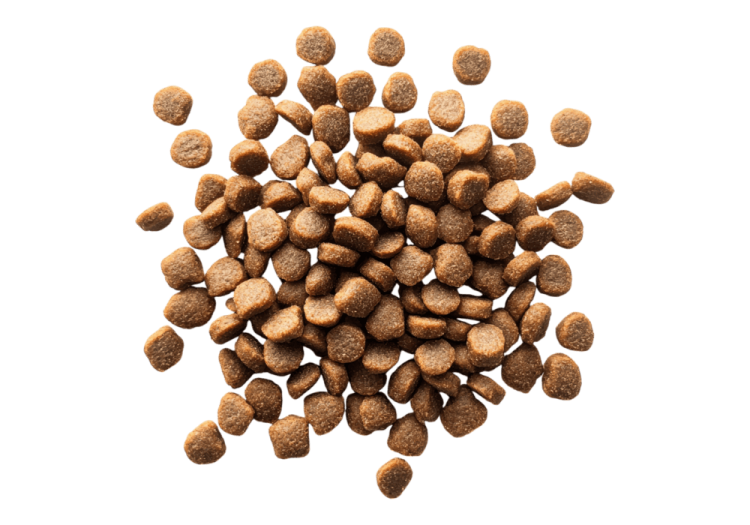 a pile of dog food