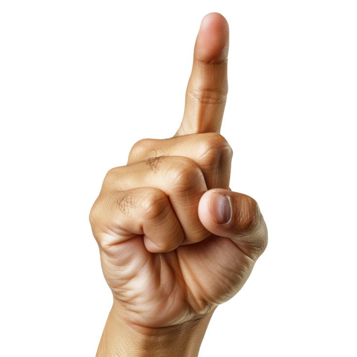 a person's hand holding up a finger