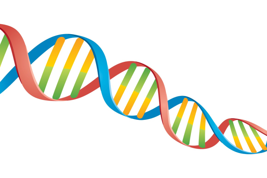 illustration of a dna strip