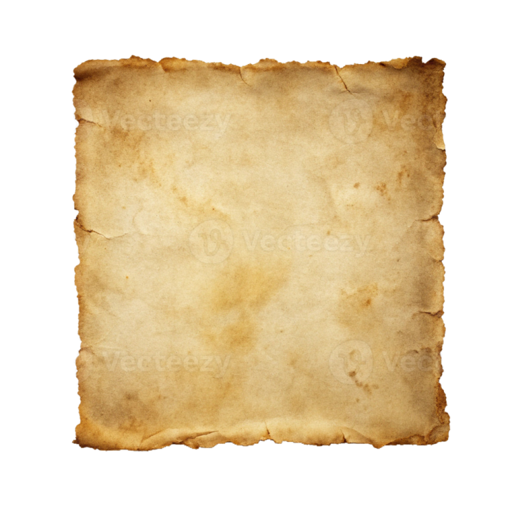 a piece of parchment paper on a white background