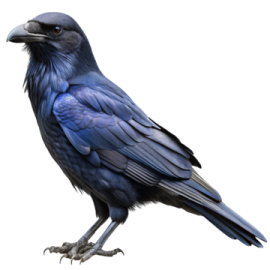a blue bird sitting on top of a white surface