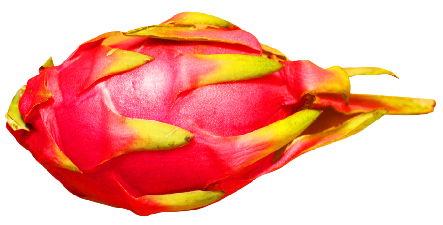 a close up of a red dragon fruit