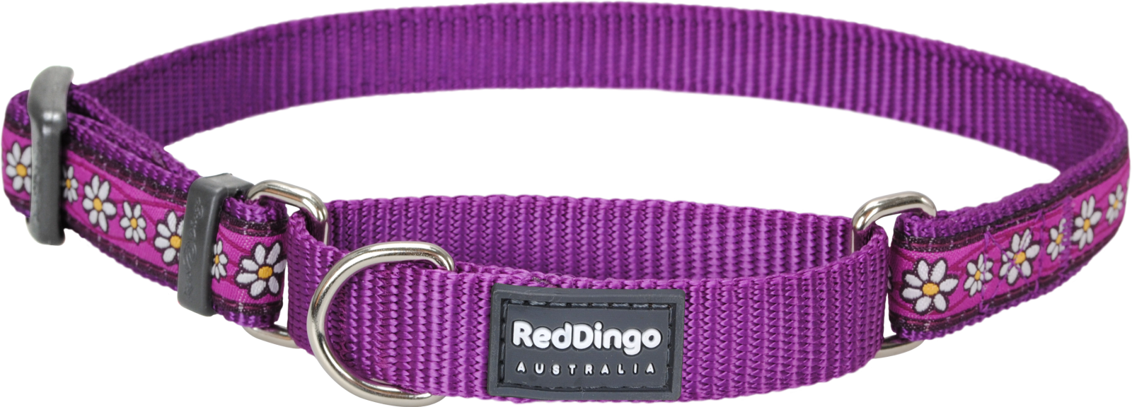 a purple dog collar with flowers on it