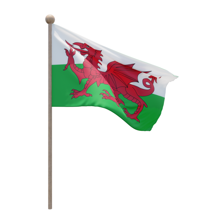 a flag with a red dragon on it