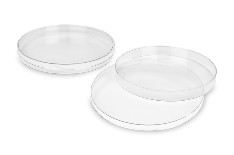 two clear plates on a white background