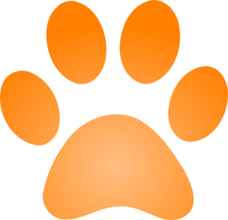an orange paw on a white background