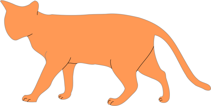 an orange cat on a white background