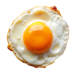 a fried egg on top of a piece of bread