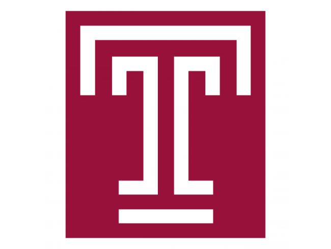 the university of texas logo
