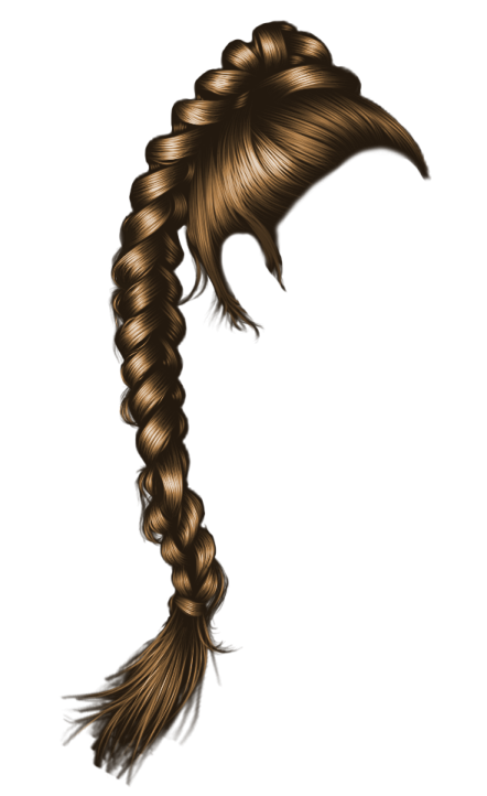 a drawing of a ponytail with long hair