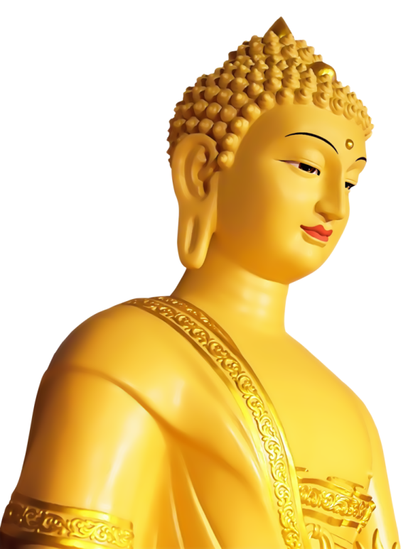 a golden buddha statue on a white background