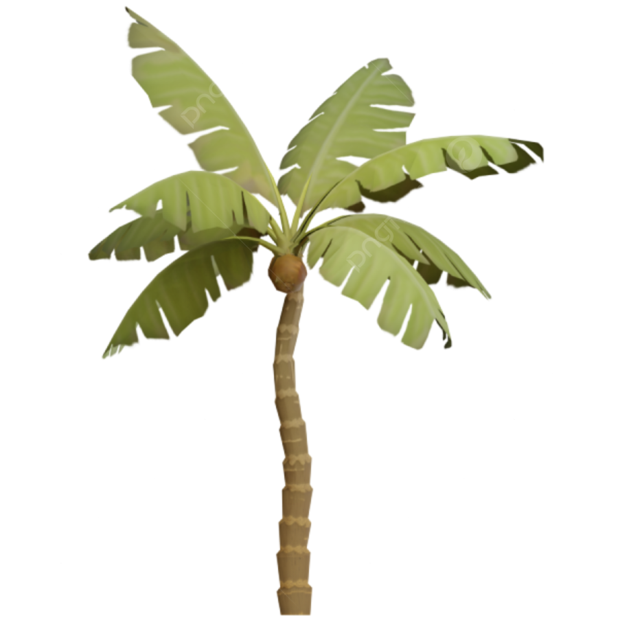a green palm tree on a white background