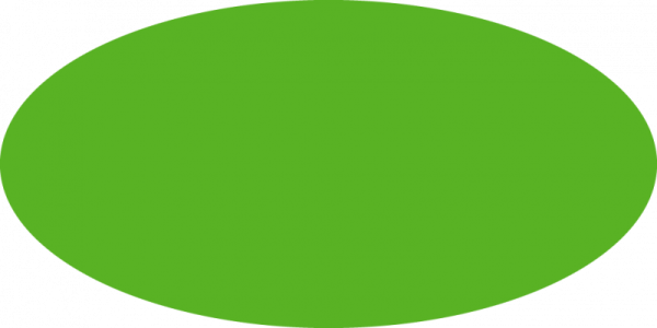 a green circle on a white background