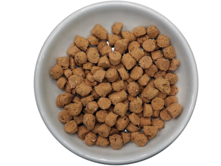 a white bowl filled with dog food