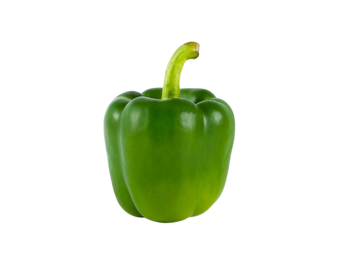 a green pepper on a white background