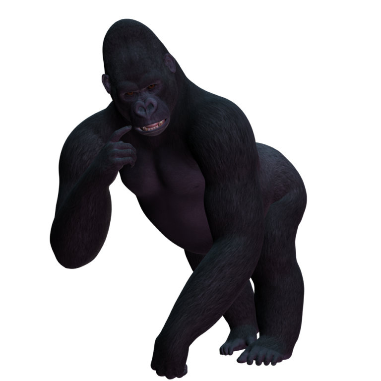 a gorilla is standing and looking at the camera