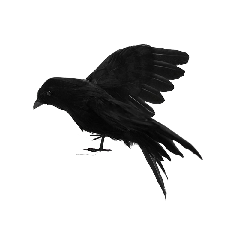 a black bird is flying in the air