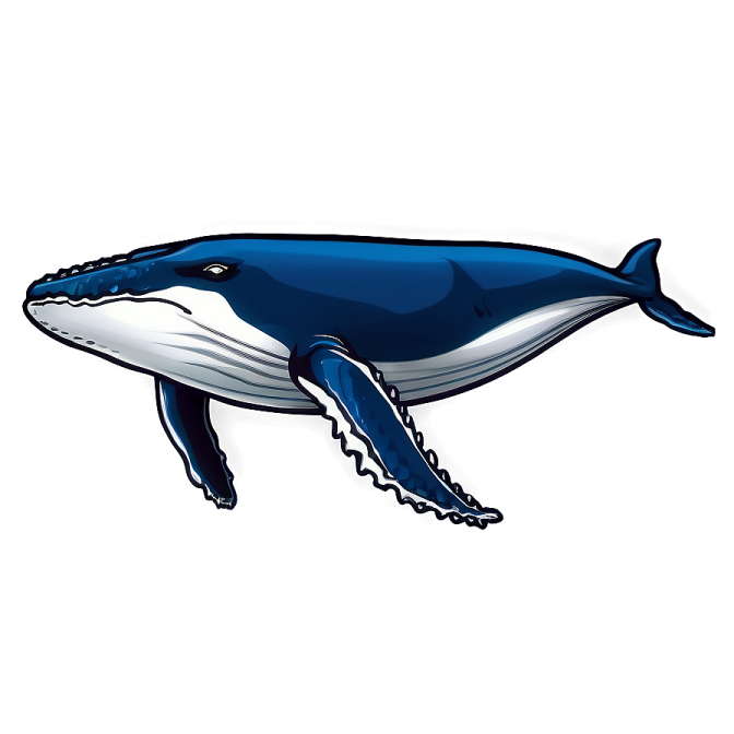 an illustration of a blue whale