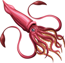 an octopus with tentacles and tentacles