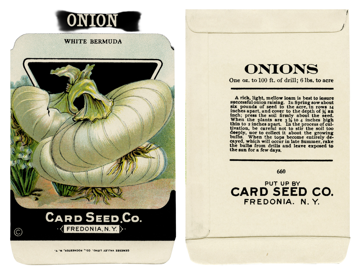 a close up of a white seed packet