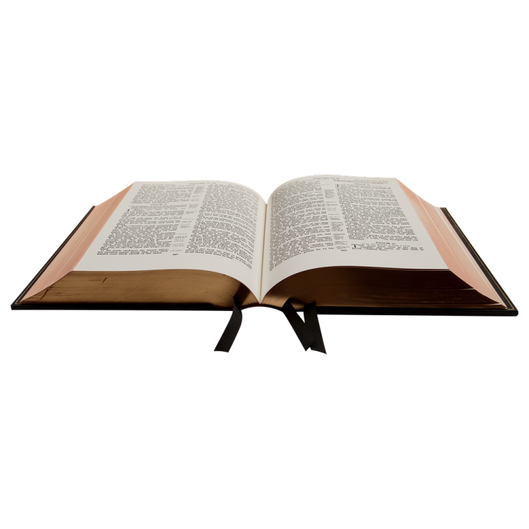 an open bible on a white background