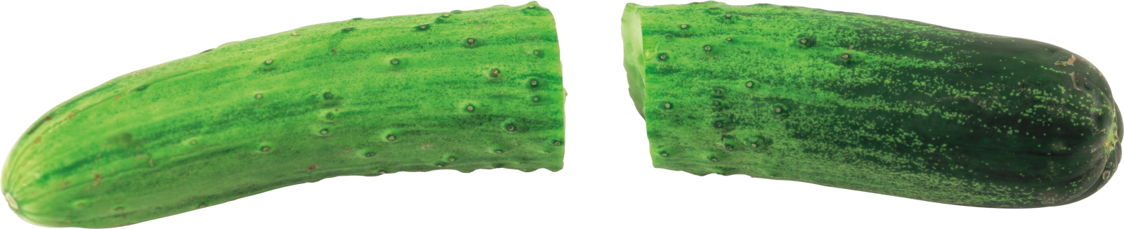 two pieces of green leaf on white background