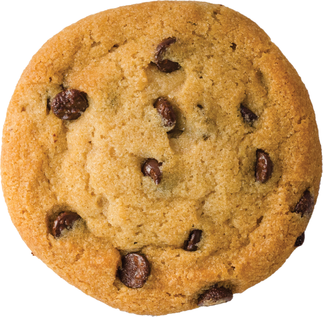 a chocolate chip cookie on a white background