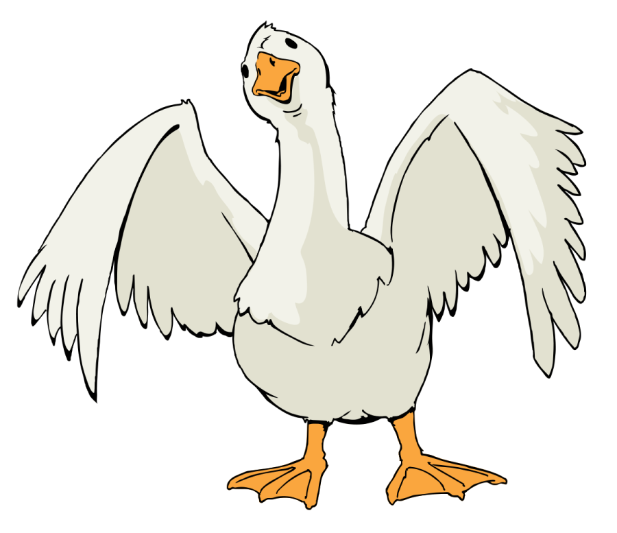 a chicken with its wings spread out