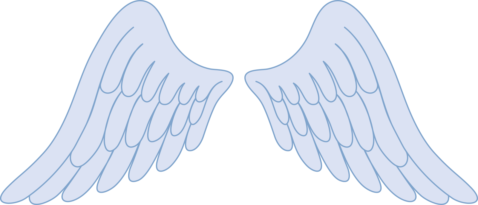 a pair of angel wings
