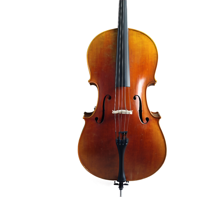 a violin on a white background