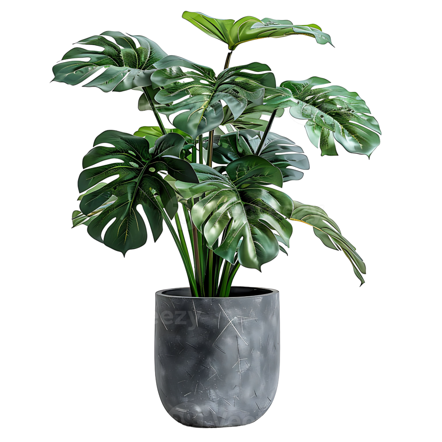 a potted plant with green leaves in it