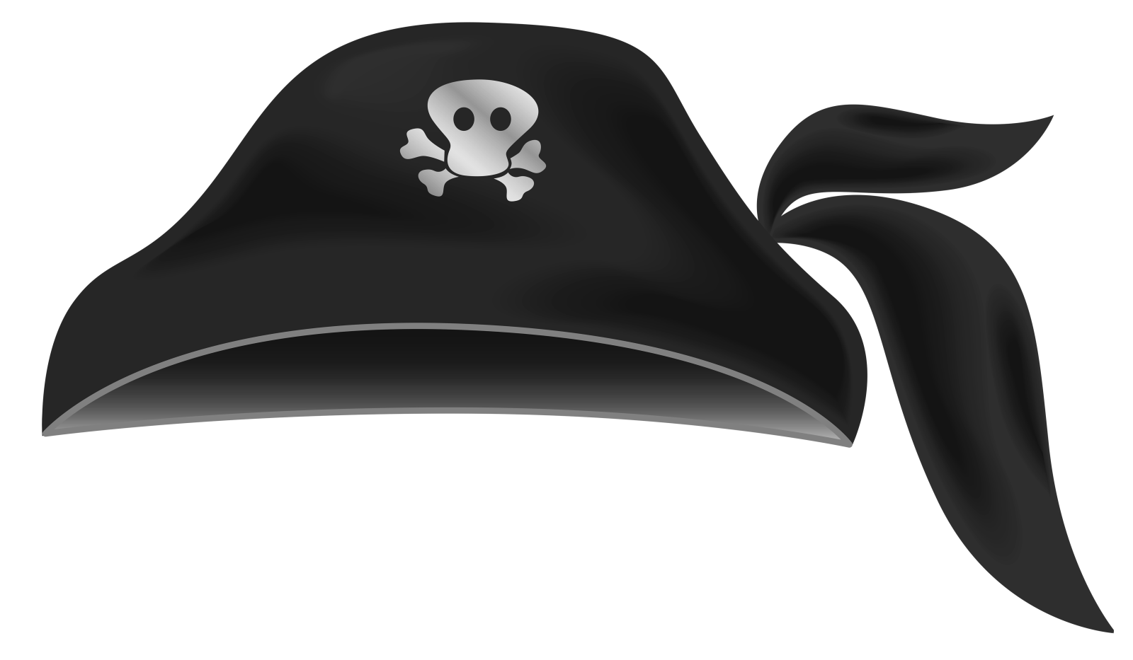 a pirate hat with a skull on it
