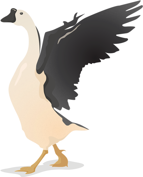 an illustration of a goose with its wings spread
