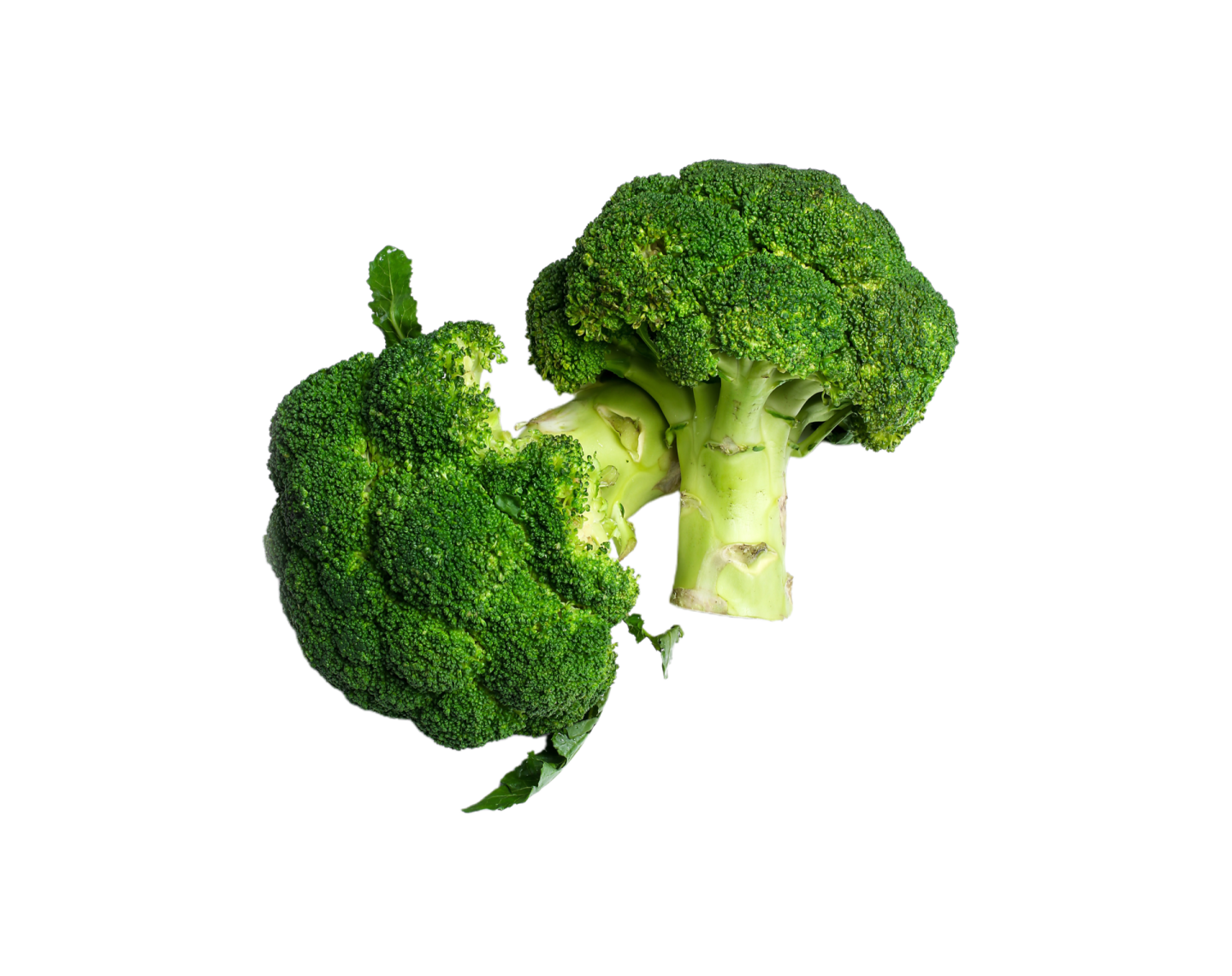 a close up of a piece of broccote